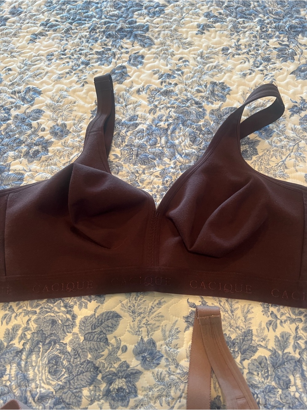 Cacique Unlined Full Coverage No-Wire Bra Cocoa Brown 42D